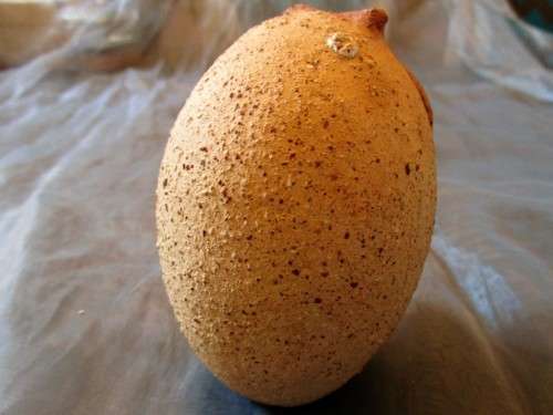 THIS IS SUCH AN EXQUISITE POTTERY OWL - BEAUTIFUL PIECE!!!!!