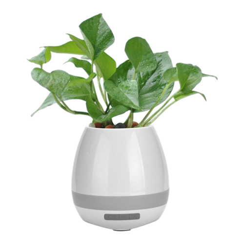 Flowerpot Bluetooth Speaker