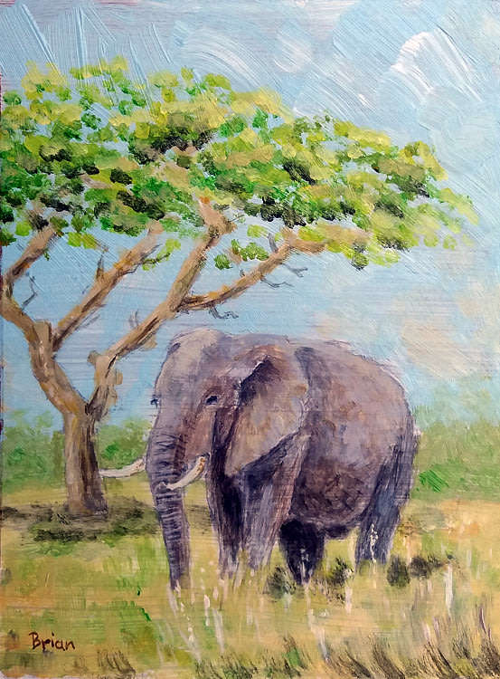 Elephant