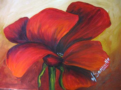 Single Poppy  3    [250x350mm]     by South African Artist dSomm'ville