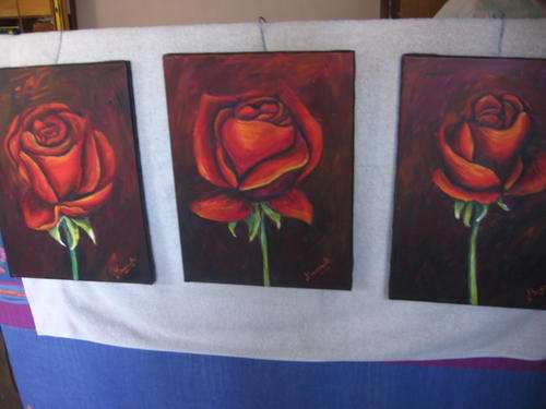 Red Roses ..  by  dSomm'ville