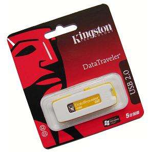 Kingston 8Gig USB Flash Drive