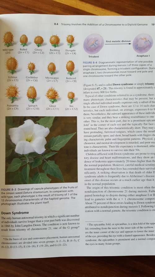 Concepts of Genetics by W Klug, M Cummings, C Spencer