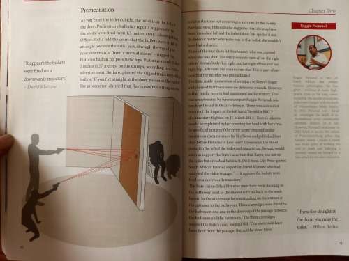 The Killing: Oscar Pistorius and Reeva Steenkamp by Laurie A. Claase