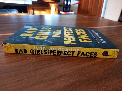Bad Girls with Perfect Faces by Lynn Weingarten