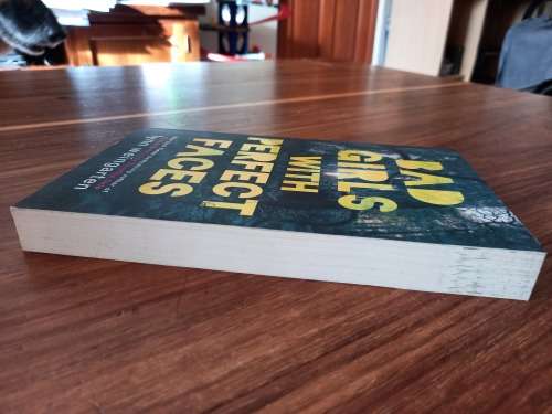 Bad Girls with Perfect Faces by Lynn Weingarten