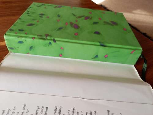 Oryx and Crake (MaddAddam #1) by Margaret Atwood - Large Hardcover