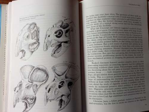 The Dinosaur Heresies:A Revolutionary View of Dinosaurs by Robert T. Bakker - Large Hardcover