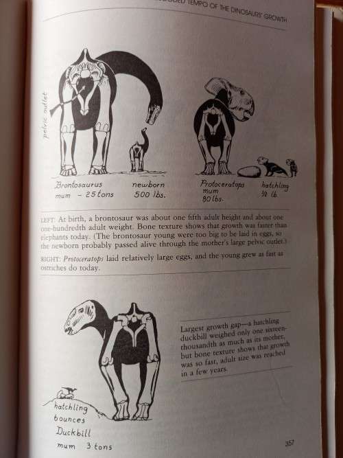 The Dinosaur Heresies:A Revolutionary View of Dinosaurs by Robert T. Bakker - Large Hardcover