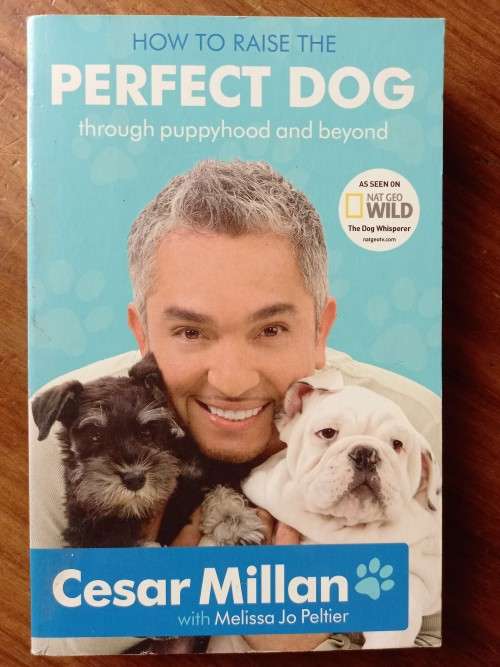 How to Raise the Perfect Dog: Through Puppyhood and Beyond by Cesar Millan