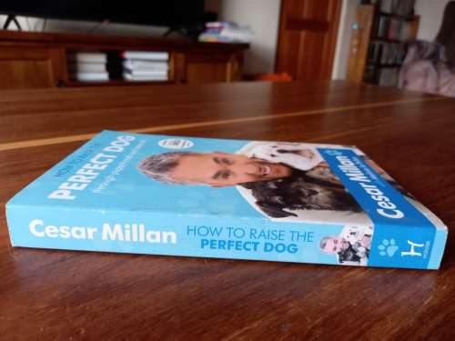 How to Raise the Perfect Dog: Through Puppyhood and Beyond by Cesar Millan