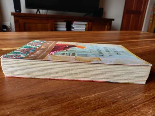 A House Without Windows by Nadia Hashimi - Large Softcover