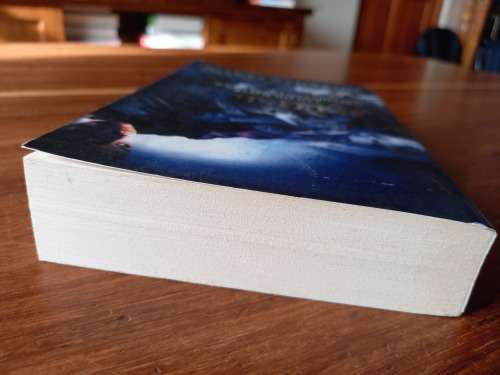 Illusion (Chronicles of Nick #5) by Sherrilyn Kenyon