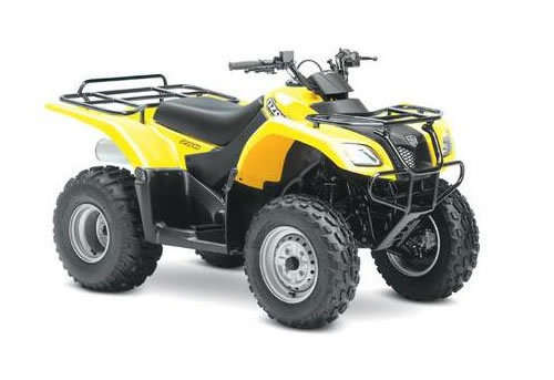 Suzuki Ozark LT F250 2002 to 2009 service manual (E-book)