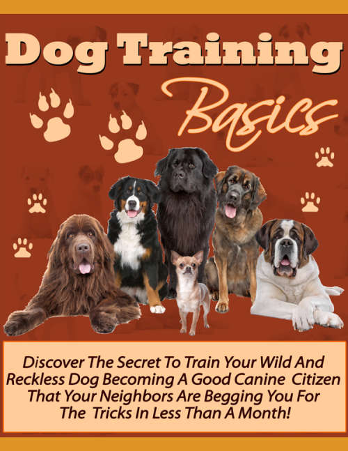 Dog training basics - Ebook