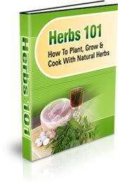 Herbs 101 - Ebook