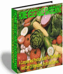 Home Vegetable Gardening - Ebook