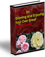 101 Tips for Growing a Beautiful Rose Garden - Ebook