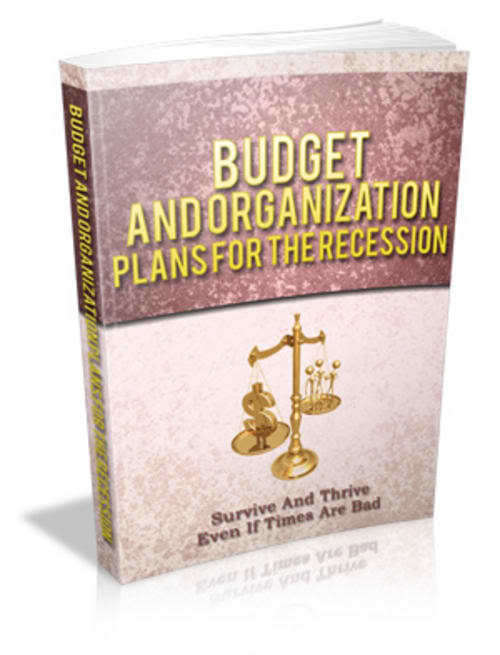 Budget and Organization Plans for the Recession - Ebook
