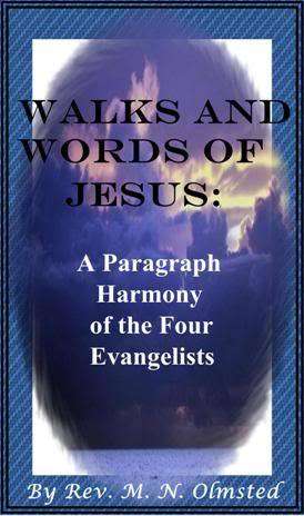 Walks and Words of Jesus - Ebook