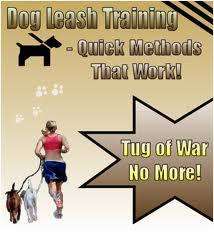 Dog leash training - Ebook