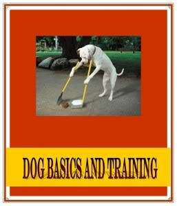 Dog basics and training - Ebook