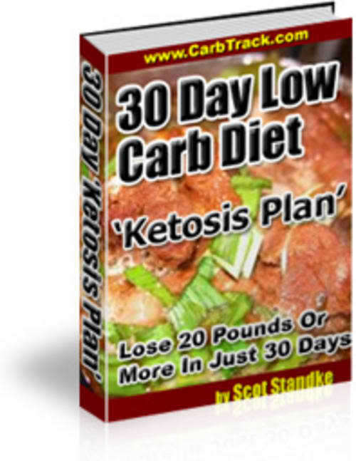 30 Day Low Carb Diet Ketosis Plan | Lose 20 Pounds Or More In Just 30 Days - Ebook