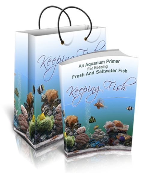 Keeping Fish  -  Ebook
