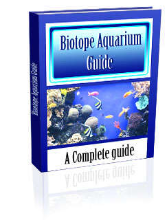 Biotope Aquarium Guide - Ebook (Free download)