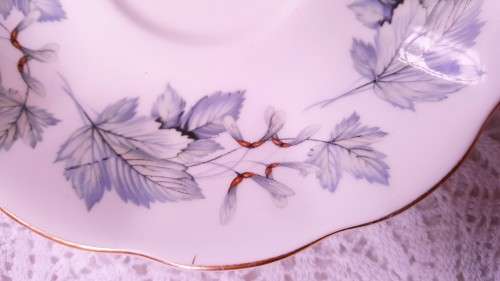 ROYAL ALBERT/Paragon  allied potterieS mix match