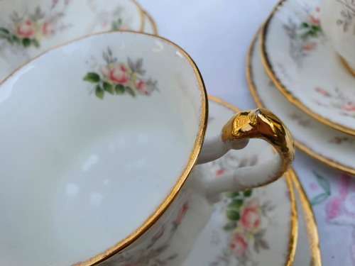 PARAGON Affection trio3