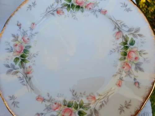 PARAGON Affection trio3