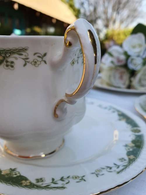 PARAGON LYNNWOOD TRIO ONLY!!!