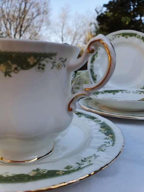 PARAGON LYNNWOOD TRIO ONLY!!!