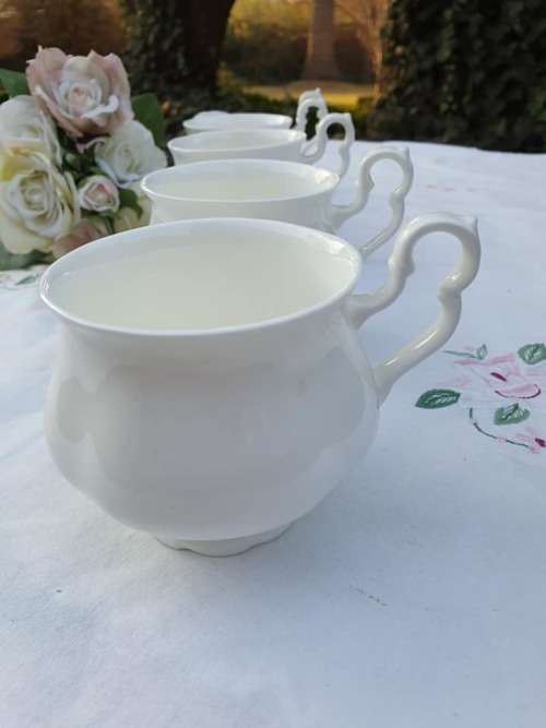 ROYAL ALBERT RARE GOSSAMER CUP 1
