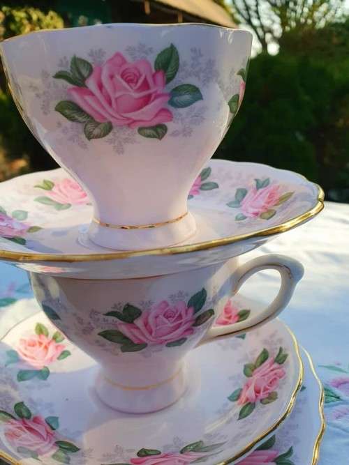 pink roses harlequin soft pink TRIO 2