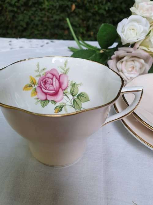 clare TRIO ONLY!!! harlequin soft pink