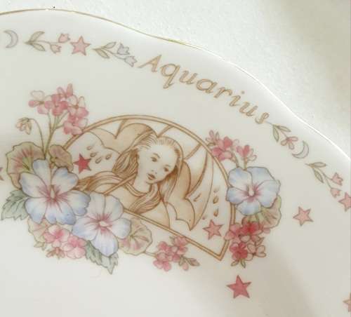 RARE Zodiac series royal Albert Aquarius