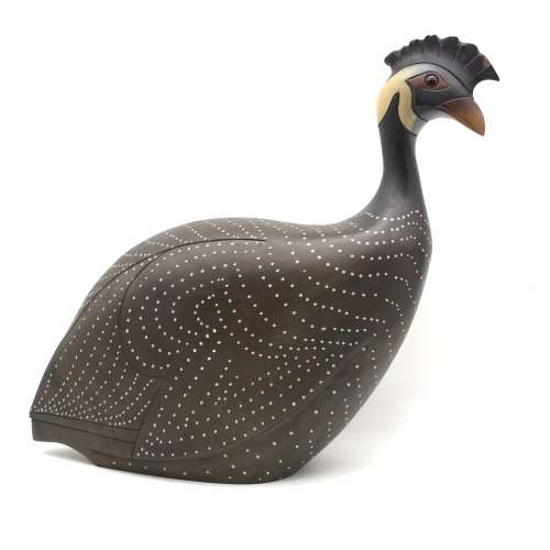 Feathers of Knysna `Crested Guinea Fowl` (193)