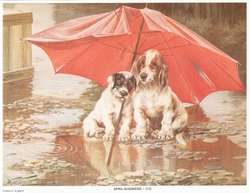 PRINT OF DOGS-APRIL SHOWERS