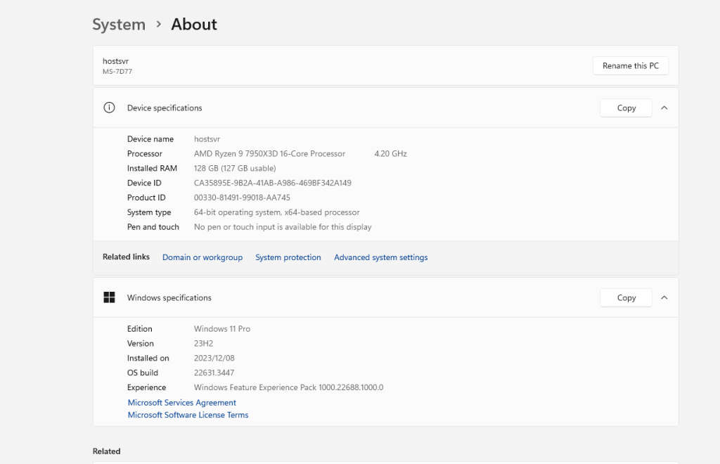 Dedicated Server (7950X3D, 128GB RAM)
