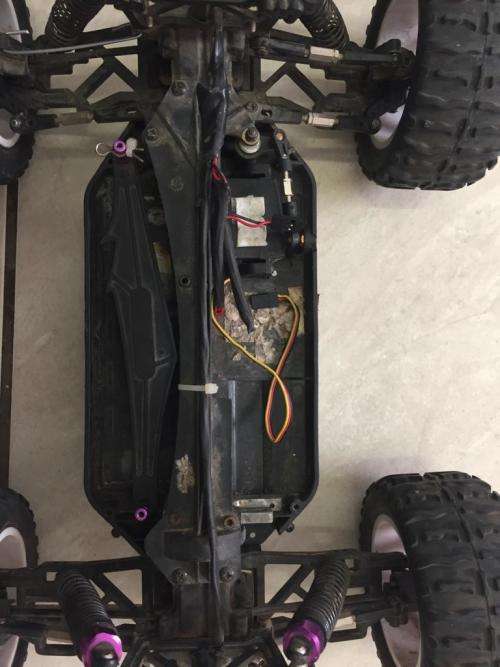 HSP 1:10 Brontosaurus