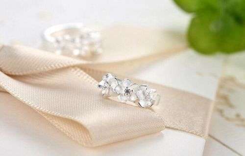 Alluring Silver Plated Crystal Rhinestone Flower Elegant Earrings (April Birthstone)