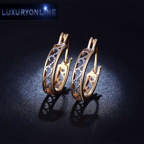 GORGEOUS!  Hoop Earrings