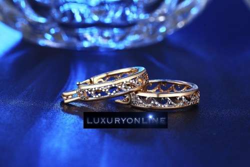 GORGEOUS!  Hoop Earrings