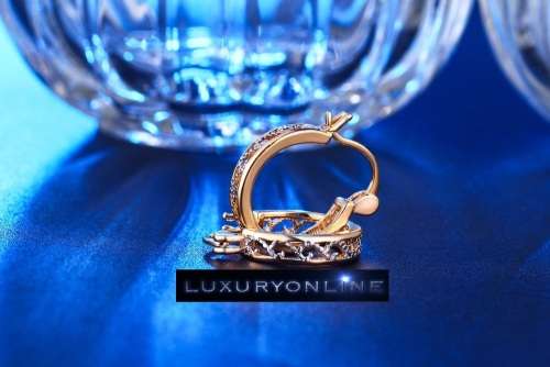 GORGEOUS!  Hoop Earrings