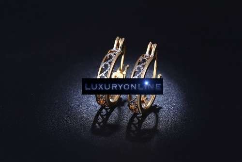 GORGEOUS!  Hoop Earrings