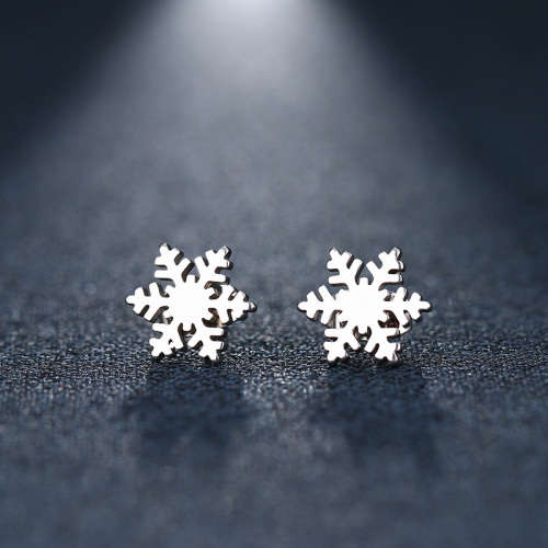 GORGEOUS!  100% Titanium Snow Flake Stud Earrings **R 270** (SILVER)