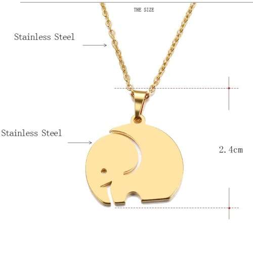 Titanium "Elephant" Necklace Silver 45 cm *R 499*