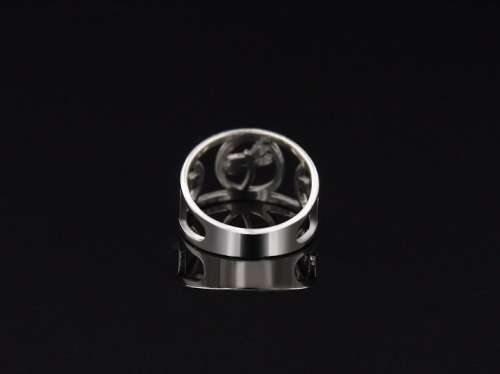 Titanium "Dragon Fly" Ring *R 499* Size 11 US